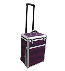 Joiken Astra Purple Snake Tool Case