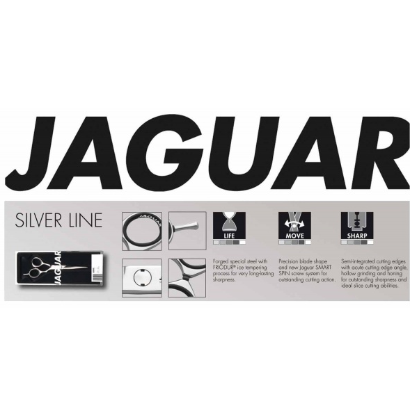 Jaguar Silver Line Grace Convex 6"